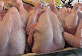 Whole Chicken _Halal whole chicken _halal frozen chicken